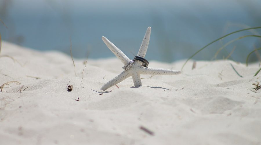 The Beach Knot 4